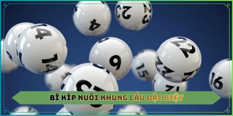 Bí kíp nuôi khung cầu đặc biệt