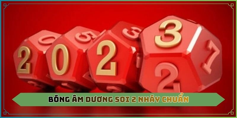 Bóng âm dương soi 2 nháy chuẩn