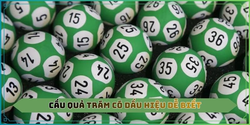 Cầu quả trám có dấu hiệu dễ biết