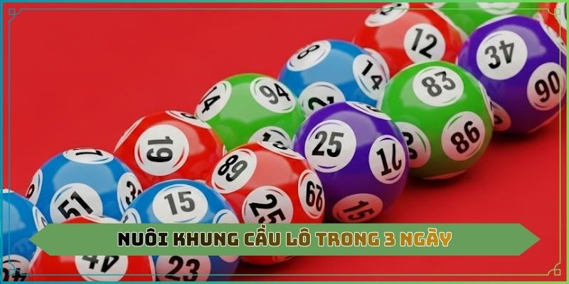 Nuôi khung cầu lô trong 3 ngày