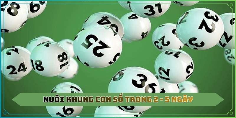 Nuôi khung con số trong 2 - 5 ngày