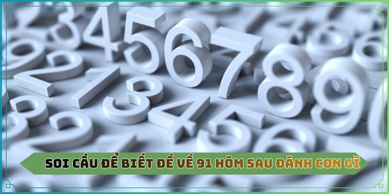 Soi cầu để biết đề về 91 hôm sau đánh con gì
